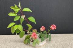 Rosemarie