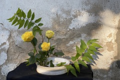 Rosemarie