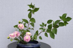 Jasmin