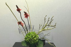 Jasmin