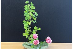 Jasmin