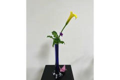 Ingeborg-Karola-Jasmin-Ikebana-Reigen-blau