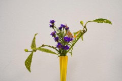 Ingeborg-Karola-Jasmin-Ikebana-Reigen-gelb