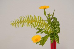 Ingeborg-Karola-Jasmin-Ikebana-Reigen-rot
