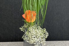 Jasmin1