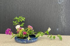 Jasmin