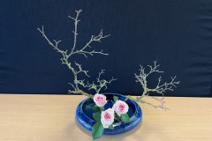 Jasmin