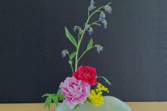 Jasmin