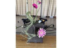 NeujahrsempfangDBH_22