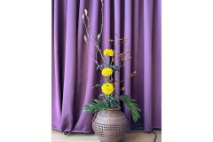 NeujahrsempfangDBH_28