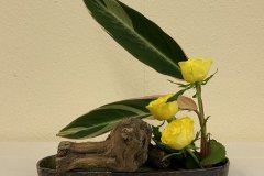 IMG_3071