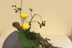 IMG_3077