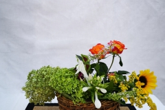 IMG_20200808_164304_1