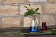 Erlenmeyer